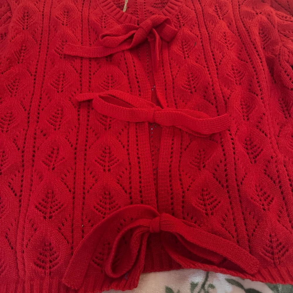 NWT SAGE & FIG RED POINTELL TIE FRONT SWEATER SZ L